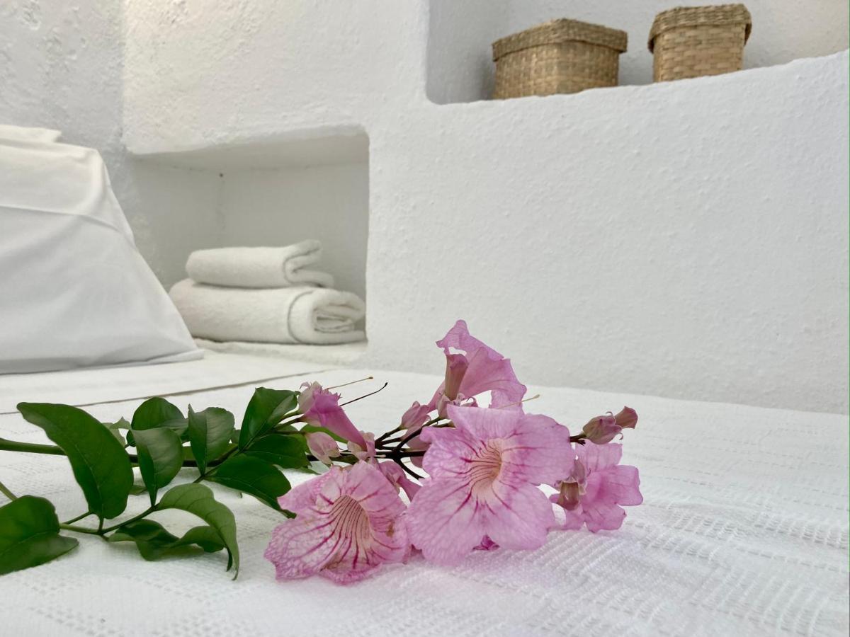 Alkyonis Villas Kamares  Exteriör bild